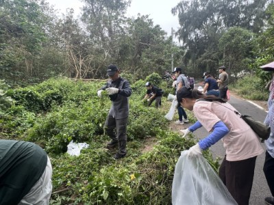 新豐鄉鳳坑社區及竹東站共同參與除蔓活動(林業保育署新竹分署提供) 